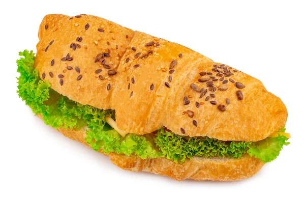 Croissant Sandwich Met Kaas Geïsoleerd Witte Achtergrond — Stockfoto