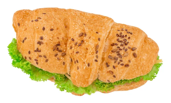 Croissant Sandwich Met Kaas Geïsoleerd Witte Achtergrond — Stockfoto