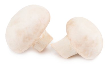  champignon izole üzerinde beyaz arka plan, kırpma yolu ile mantar.