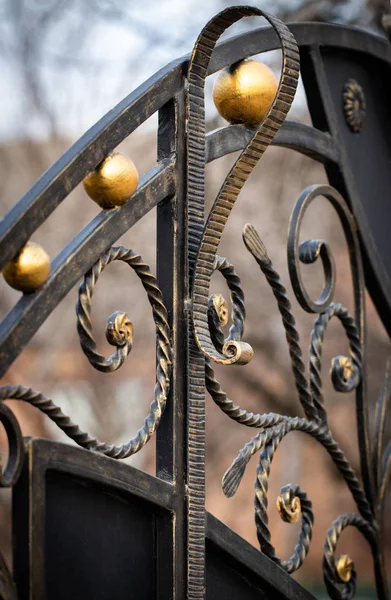 Mooie Decoratieve Metalen Elementen Gesmeed Smeedijzeren Poorten — Stockfoto