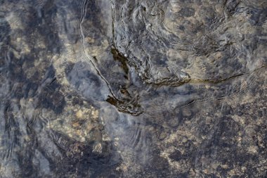 Su yüzeyi dalgalanmalar ile. Rüzgarlı hava. Arka plan veya doku.