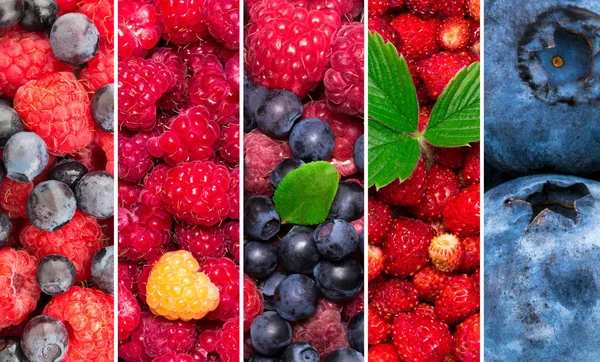 Fresh berries. Mixed of  blueberry, strawberry, raspberries. Co