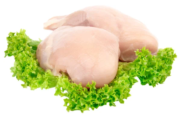 Raw chicken breast fillets with lettuce isolated on white backgr Royalty Free Stock Images