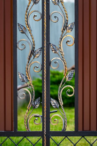 Hermosos elementos decorativos de metal forjado puertas de hierro forjado — Foto de Stock