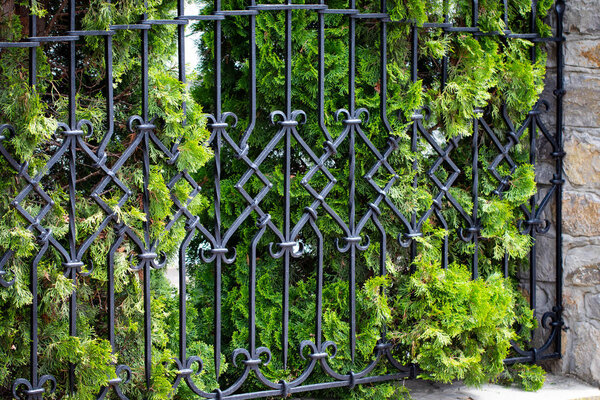 Фрагмент кованых металлических изделий. макро