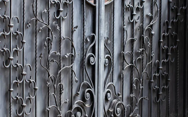 Πύλες από σίδηρο ή χάλυβα, διακοσμητικές σφυρηλασίες, σφυρηλατημένα στοιχεία κοντά — Φωτογραφία Αρχείου
