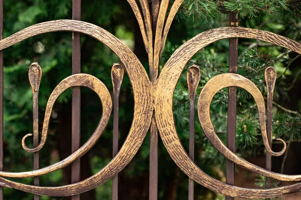 Wrought-iron gates, ornamental forging, forged elements close-up — Stock Photo, Image