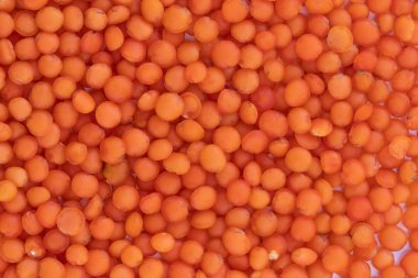 arka plan beyaz doku izole kırmızı