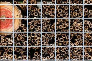 net çit yakın arkasında ahşap dalları ile soyut arka plan