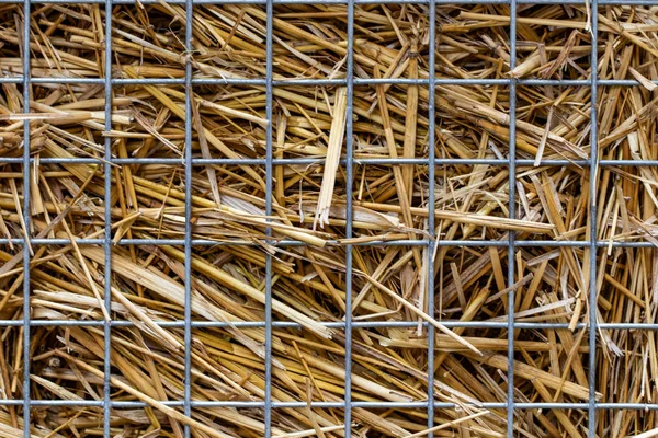abstract background with straw behind the net fence close-up