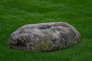yeşil çimenler üzerinde yatan büyük taş