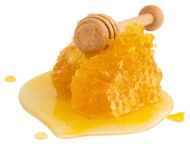 Beyaz arka plan üzerinde izole bal ayı ile petek