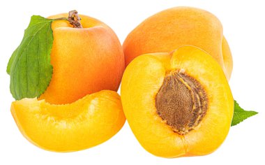 Kayısı beyaz arka planda izole edilmiş. Kesme Yolu