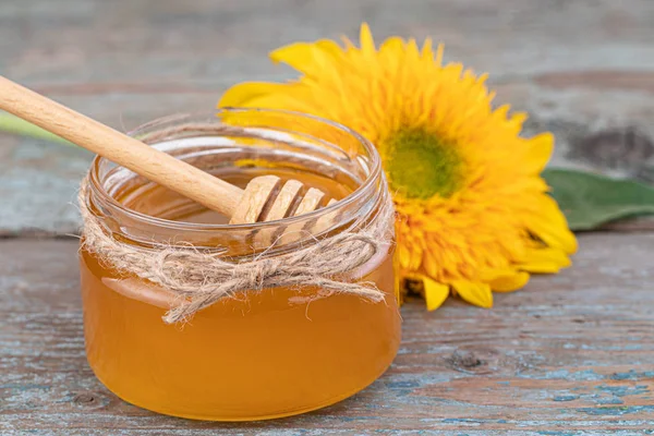 Honey background. Fresh honey in the pot with sunflower flower