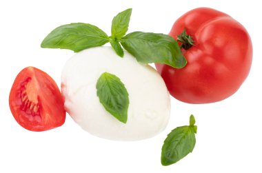 Mozzarella, domates ve clippin ile beyaz arka plan üzerinde fesleğen