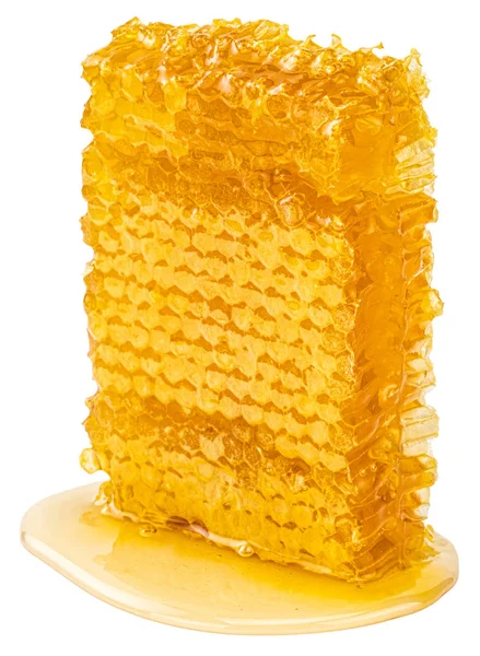 Honeycomb pjäs. Honey slice isolerad på vit bakgrund med c — Stockfoto