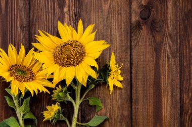 Tahtada ayçiçekleri olan sonbahar arkaplanı