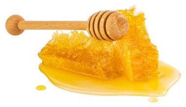 Beyaz arka plan üzerinde izole bal ayı ile petek