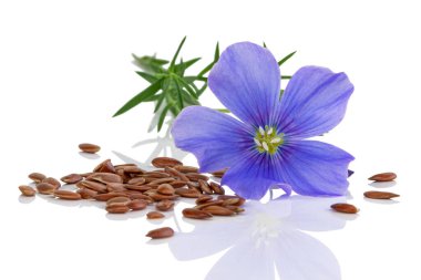  Beyaz arkaplandaki çiçekli keten tohumları.