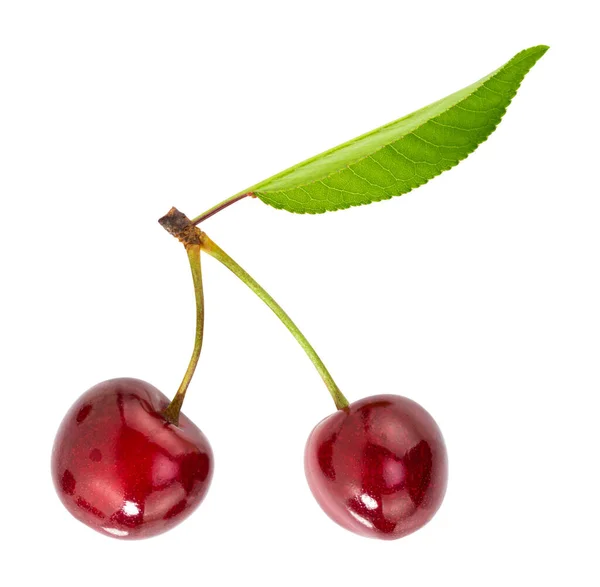 Cherrys Απομονώνονται Λευκό Φόντο Μονοπάτι Απόληξης — Φωτογραφία Αρχείου
