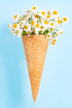 Kahvaltıda. Ahşap arka planda böğürtlenli krep. Boşluğu kopyala, üst görünüm.