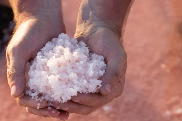 Avuçlarda Pembe Deniz Tuzu Tuz Madenciliği Güzel Tuzlu Pembe Göl — Stok fotoğraf