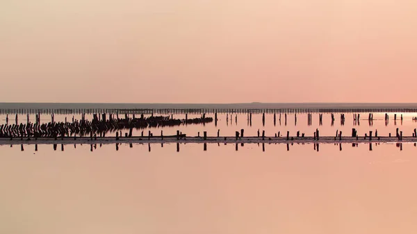Nádherné Slané Růžové Jezero Cestujte Létě Genichesk Ukrajina — Stock fotografie