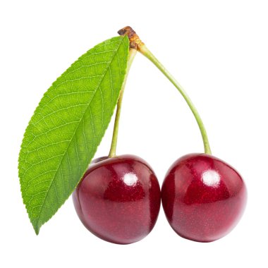 Beyaz arka planda yaprak ile izole kiraz. kırpma yolu ile.