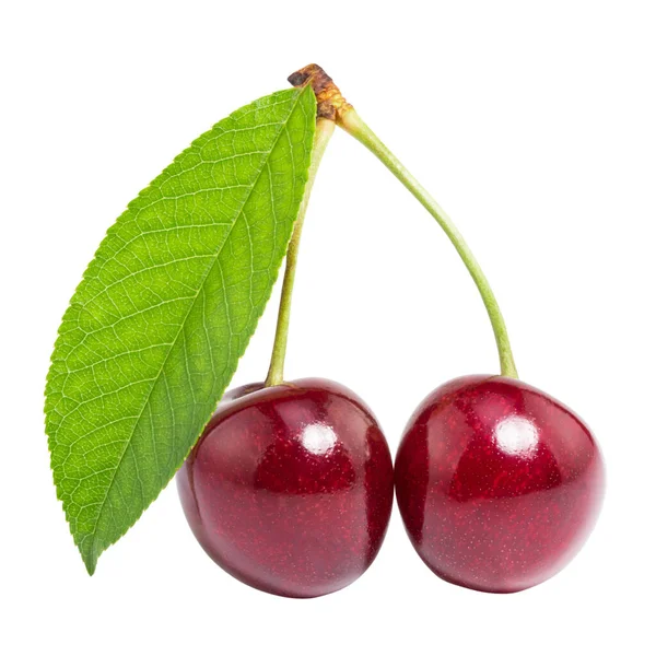 Beyaz arka planda yaprak ile izole kiraz. kırpma yolu ile.