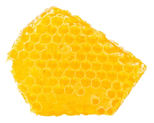 Honingraatstuk Honingschijfje Geïsoleerd Witte Achtergrond — Stockfoto