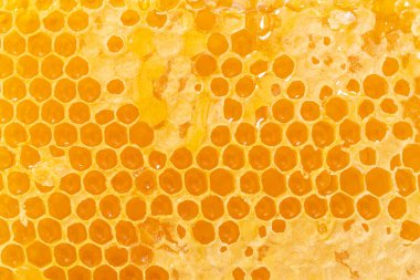 Altın bal dolu bir arı kovanından alınan balmumu bal peteğinin arka plan dokusu ve deseni.
