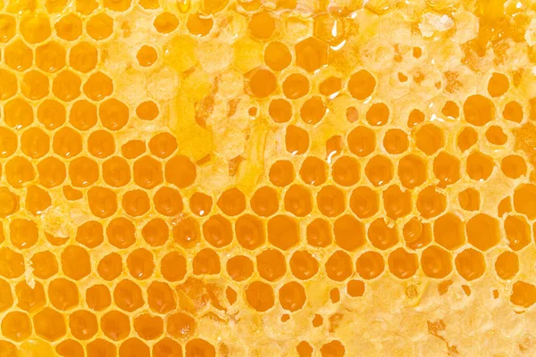 蜂窝中装满金黄色蜂蜜的蜂窝部分蜂窝的背景 质地及图案 — 图库照片