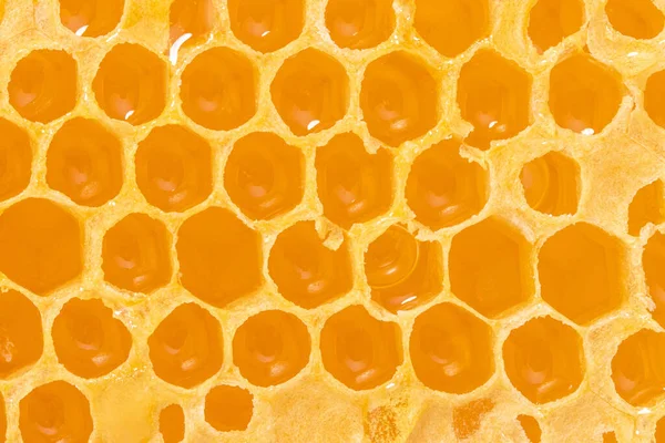 Hintergrundstruktur Und Muster Eines Teils Der Wachswabe Aus Einem Bienenstock — Stockfoto