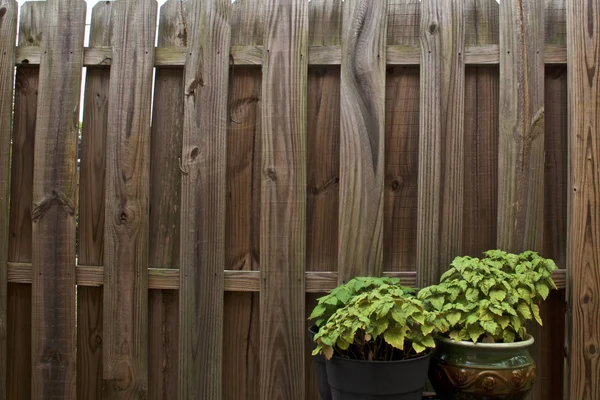 Old Weathered Warped Stockade Privacy Fence Fills Image Two Green — Stock Photo, Image