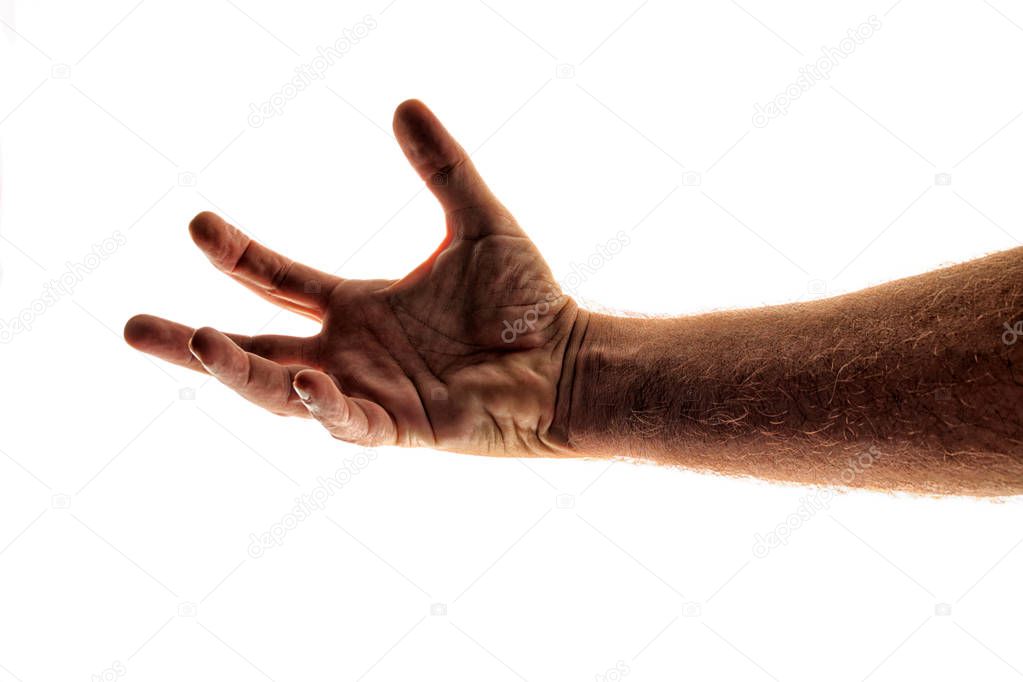 Backlit image of man's arm reaching out as if trying to grab at somethings, against white, not isolated, highly detailed fingers, hand wrist and forearm. 
