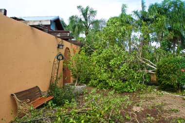 Düşmüş bir ağaç indi ev ve kapakları yolda kasırga sonra Irma Güney Florida.