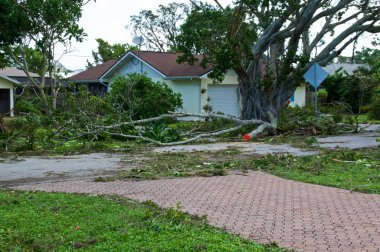 View of downed trees in front of house and hurricane irma damage in florida. clipart