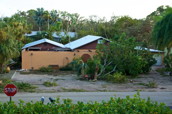 Looking Vacant House Hurricane Blew Trees Damaged Roof Property — Stock Photo, Image