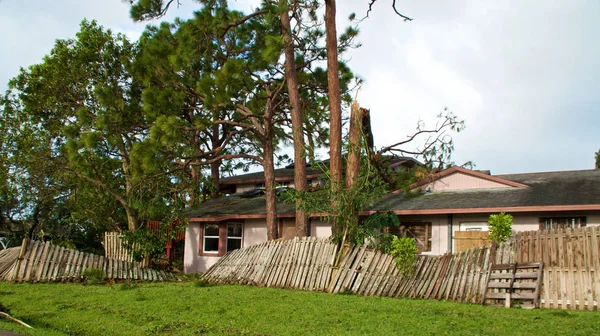 飓风伊玛后 看到了破碎的 被吹过栅栏的 被吹过的树梢和破碎的树梢 树倒在房子里了 免版税图库图片