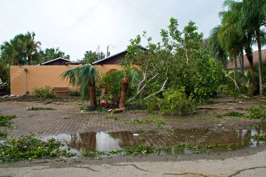 View of flooding, downed trees and property damage after hurricane irma in florida.