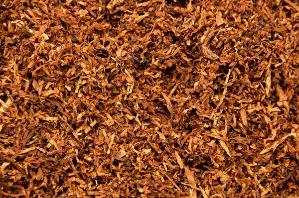 Organic shredded tobacco leaves fills entire frame from above, smoked in pipes and rolled into cigarettes. Native american medicine.
