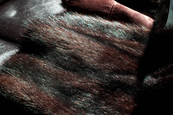 Kürk Gösterilen Astar Vizon Kat Yakın Çekim — Stok fotoğraf
