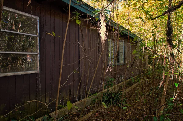 Εξωτερικό Του Ένα Εγκαταλελειμμένο Αποκλειστούν Σπίτι Αγροτική Φλόριντα Κατάφυτη Βλάστηση — Φωτογραφία Αρχείου