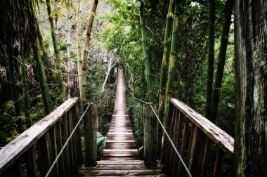 Eski ahşap asma köprü Estero Nehri stilize ve desaturated tropikal bitki örtüsü ile çevrili Florida. 