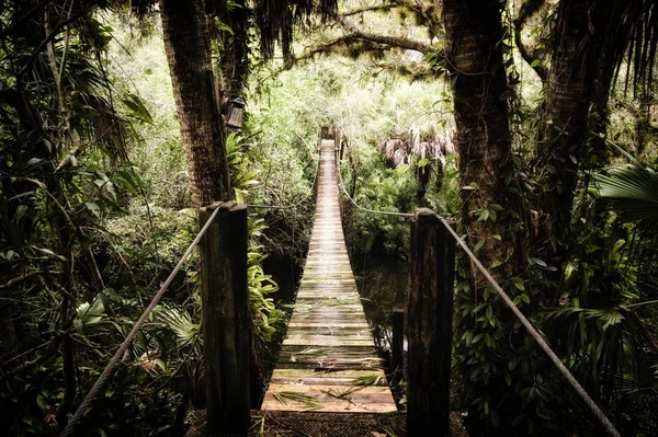 Stary Most Rzece Estero Florida Otoczony Tropikalną Roślinnością Stylizowane Desaturated — Zdjęcie stockowe