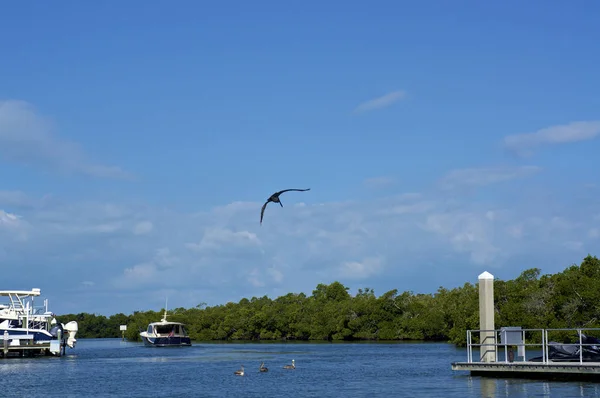 Pelican landing  in canal with docks and yachts in florida — Stock Photo, Image