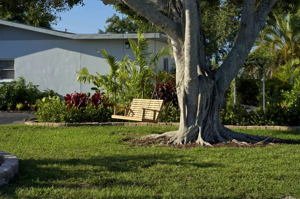 Leere Holzbank hängt am Baum — Stockfoto