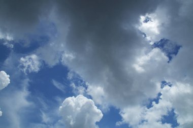 florida gökyüzü arka planda güzel bulutlar