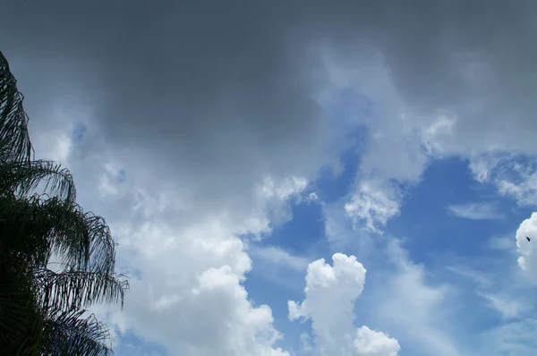 Bellissime nuvole in florida cielo sfondo con palme e b — Foto Stock