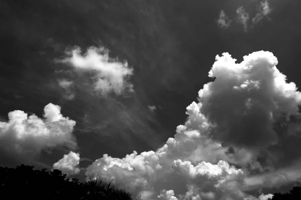 Langit penuh awan dramatis dengan puncak pohon — Stok Foto